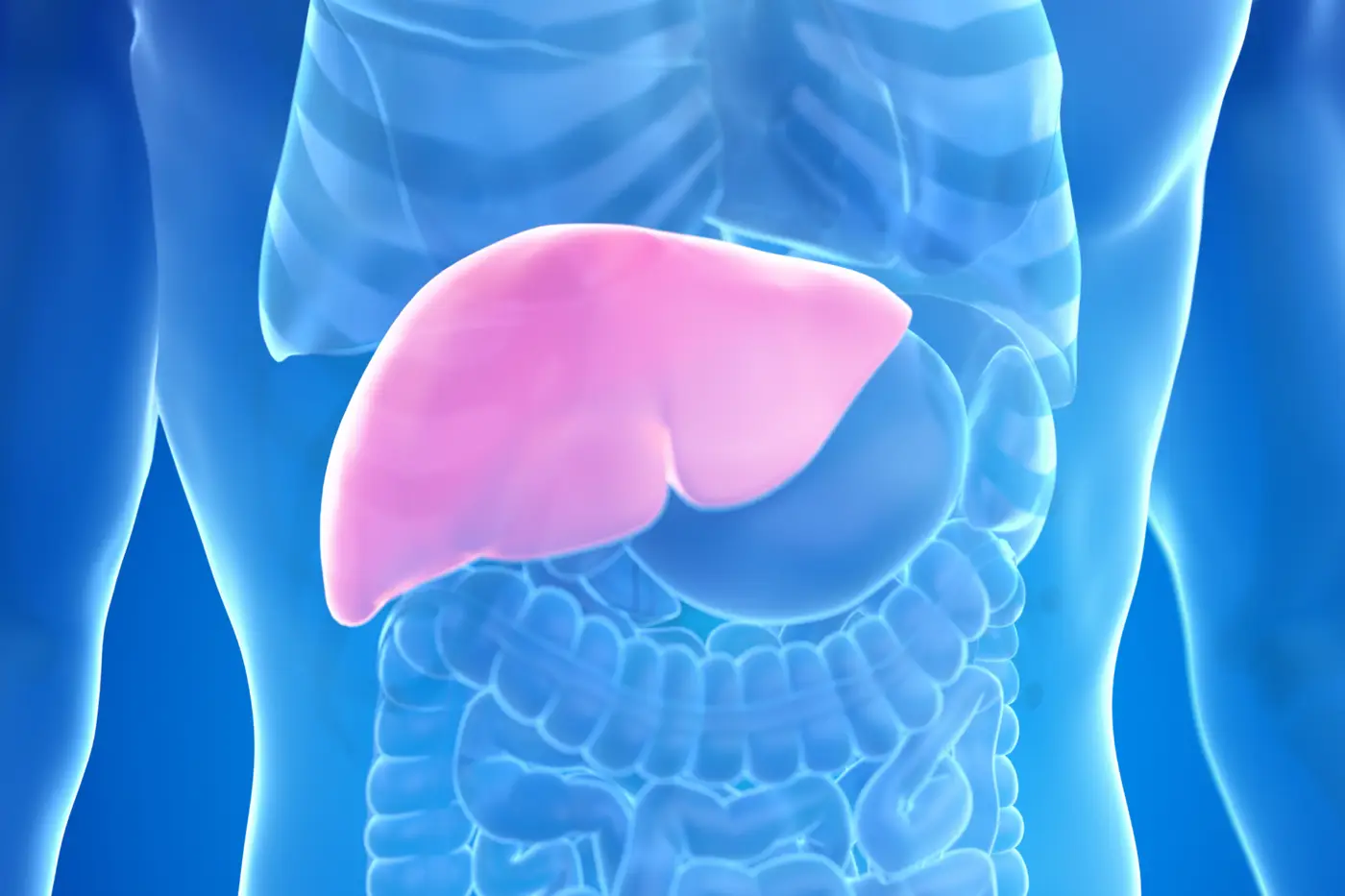Hepatites virais são porta de entrada para o câncer de fígado, alerta oncologista do HOL